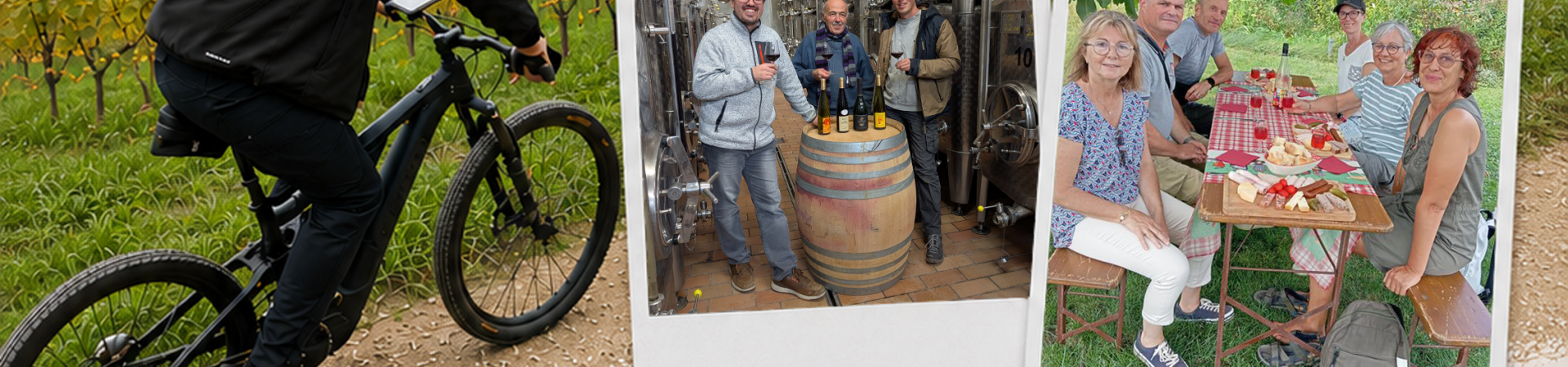 Bike&Wine Experience