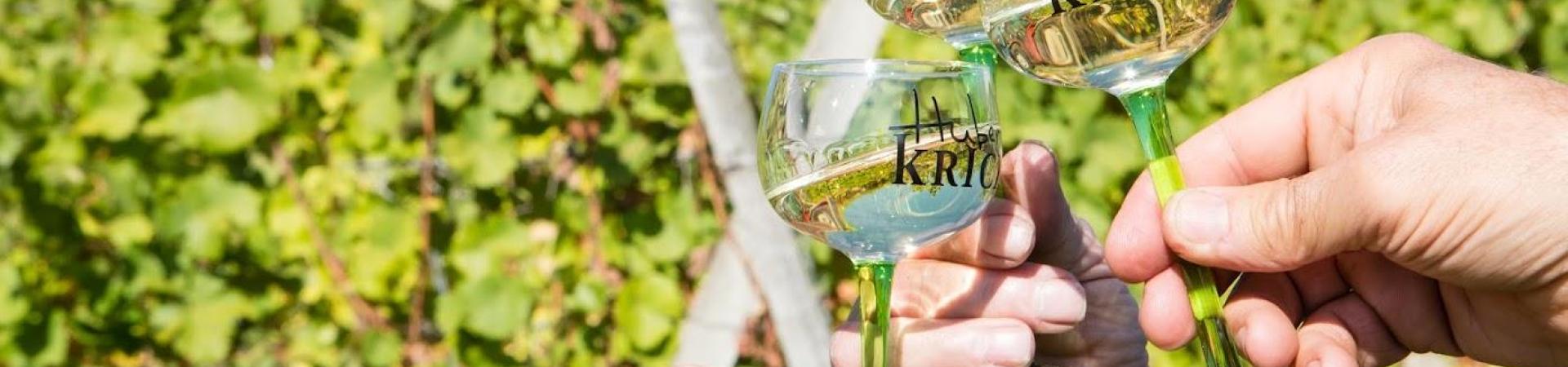 Les idées reçues à propos des vins d'Alsace