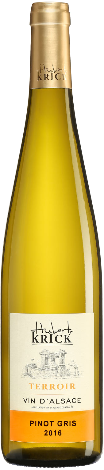 Pinot Gris 2023 Terroir Moelleux BIO