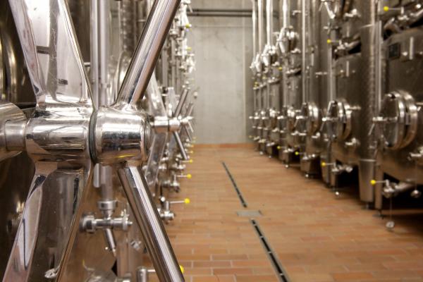 Visite des caves les mardis